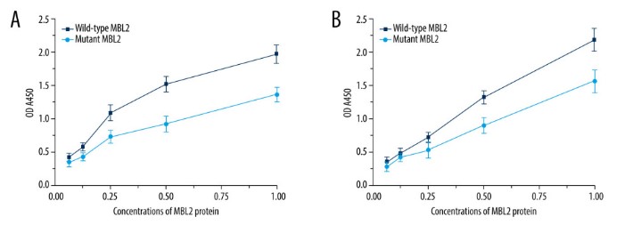 The binding between the wild-type and the mutated MBL2 proteins to MASP1.jpg